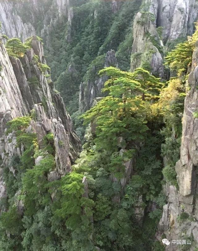 家庭住宅逃离2
